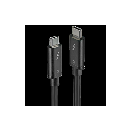 41556-Cover41555_1