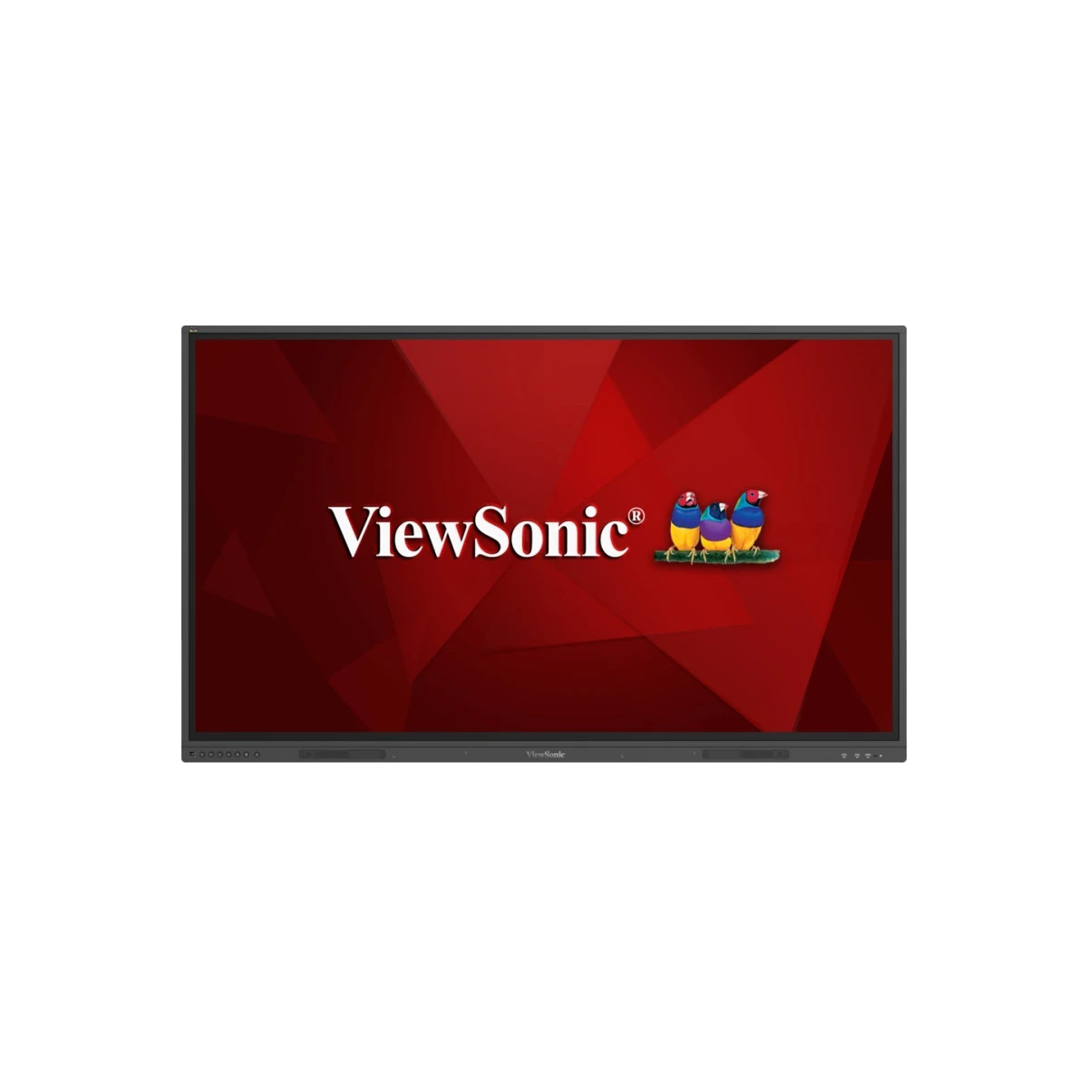 Ecran Numérique Interactif 65'' 4K sans OS ViewSonic